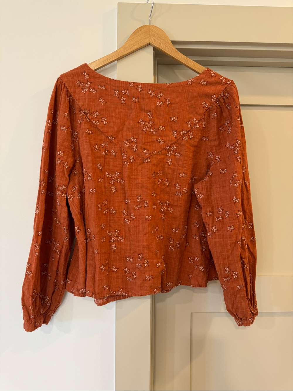 Ana Rust Embroidered Button-Front Peasant Top - Picture 2 of 7